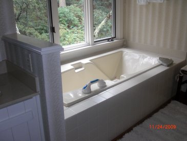 existing master bathtub